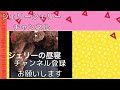 【デカプー】シェリー　ドックカフェブリットボウルさんでランチしたよ