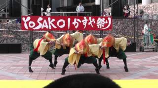 紀道　第15回YOSAKOIかすや祭り　交流広場会場