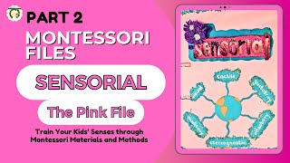 Sensorial File Montessori PART 2/ Pink File #montessori #sensorialalbum