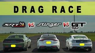 Dodge Challenger 392 Widebody vs Kia Stinger GT vs Ford Mustang GT IceWhite, drag and roll race.