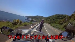 四国東半分？ツーリング 【国道55号線-室戸岬-】編　Suzuki Bandit1250F (=^・^=)