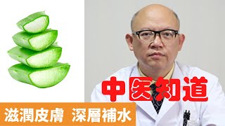 蘆薈膠的功效與作用【保健養生】生生不息