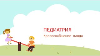 Кровоснабжение плода и новорожденного