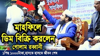 মাহফিলে ডিম বিক্রি করলেন গোলাম রব্বানী !! হাসতে হাসতে জীবন শেষ ! Golam Rabbani Bangla Waz 2022