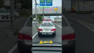 パトカー埼玉県警🚔入れてあげたのにー😓孫とmatoraチャンネルご登録ありがとう💕