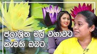 WANITHA WARUNA : ජලාශ්‍රිත මල් වගාවට කැමති ඔබට