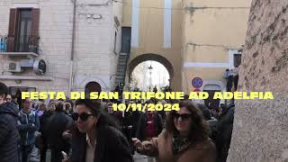 SAN TRIFONE 2024 AD ADELFIA