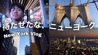 New York Vlog by an exchange student from Japan [3days in NYC]