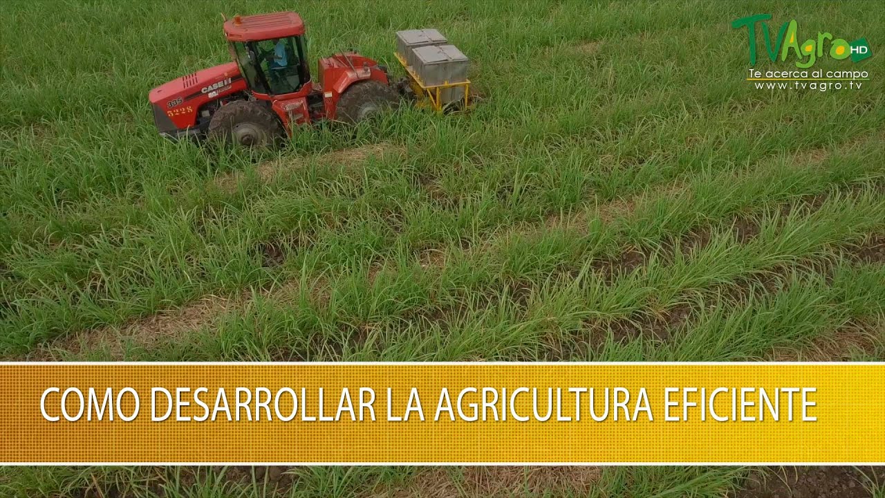 Como Desarrollar La Agricultura Eficiente - TvAgro Por Juan Gonzalo ...