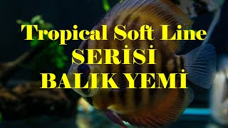 Tropical Soft Line SERİSİ BALIK YEMİ İNCELEMESİ.