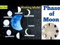 How to make working Model Phases of Moon/Sst school project for exhibition/Kansal Creation