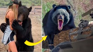 The girl saved the orphan bear cub, but 3 years later something terrible happened!