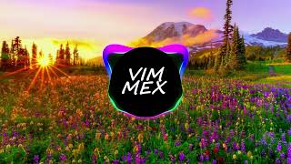 VIMMEX - Colorful Dreams