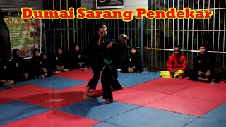 Belajar Pencak Silat 