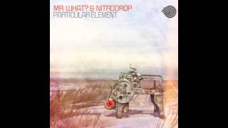 Mr.What? & Nitrodrop - Particular Element