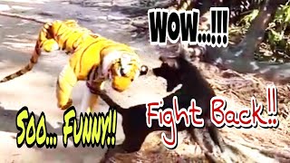 Soo Funny !! FAKE TIGER PRANK DOG | TIGER VS DOG Funny | TIGER PRANK | Funny Video.