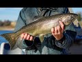 Salmon Fishing Preview 2024 - NDGF - 08-01-2024