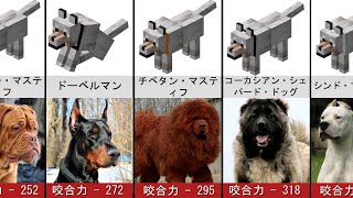 実際の生活の中で世界でMinecraftの最強の犬「比較」