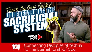 Understanding the Sacrificial System | Messianic Commentary on Torah Portion Vaykira