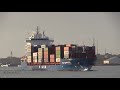 bg freight line feeder container ships