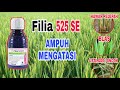 Manfaat dan Keunggulan Fungisida FILIA 525 SE