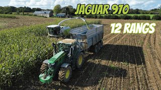 😱 Ensilage en 12 rangs avec cette Claas Jaguar 970 | Fendt 942 au tas | ETA EDT Robillard