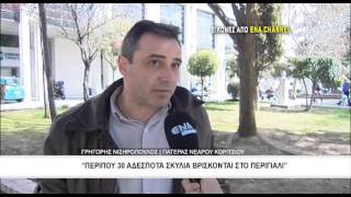 Αδέσποτο σκυλί δάγκωσε νεαρό κορίτσι στην περιοχή του Περιγιαλιού