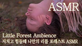 [ASMR] Little Forest Ambience/healling/sleep asmr/study/Piano/Forest/Ambiece/리틀 포레스트/작은 숲속/잠잘때