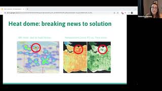 WEBINAR: Climate reporting & Solutions Journalism