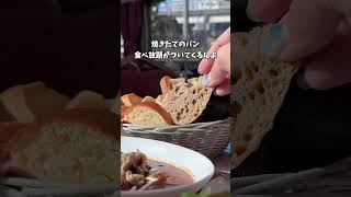 【寝台列車】グランシャリオでコスパ最強ランチが食べれるらしい