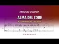 Alma del core / Caldara / Instrumental High Voice