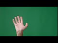 Hands Up Waving Hello Green Screen Effect | Gesture Say Hi Chroma Key in HD 4K