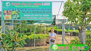 Địa chỉ Trung Tâm Cây Giống | Cung cấp cây giống chất lượng uy tín