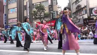 東京よさこい2015・前日祭 ～ 早稲田大学よさこいチーム 東京花火