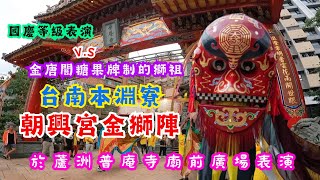 【 國慶等級表演 V.S 金唐閣糖果牌的獅祖 】台南本淵寮朝興宮金獅陣於蘆洲普庵寺廟前廣場表演