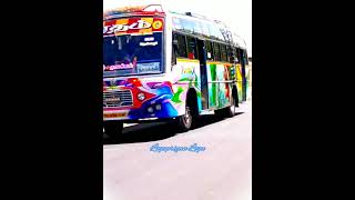 Ratham Bus Service #rasipuram    Salem to Namakkal  Bye Pass Rider ⚡Mass⚡