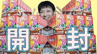 【140箱】仮面ライダーエグゼイドチョコ ビスケットボール開封動画