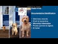 Webinar on Animals & Disasters: Pets and Small Animals