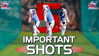5 MOST IMPORTANT FRONT FOOT SHOTS | Front Foot Batting Guide
