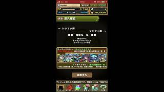 【パズドラ】ランキングダンジョン シンファ杯 156,300点