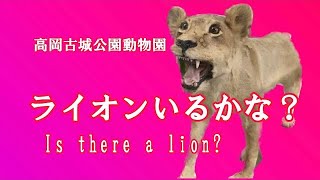 ライオン🦁いるかな？高岡古城公園動物園