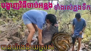 បង្ហាញវិធីសាស្រ្តចាប់អន្ទង់ទាំងរស់មិនចាំបាច់ប្រើឧបករណ៍បានអន្ទង់មិនចេះតិចគីឡូ