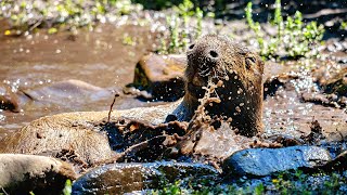 Липнева спека? Час для СПА! / July heat? Time for a SPA!