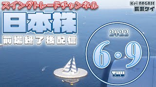 06/09 日本株。小幅ながら強さ継続。個別銘柄の戦略を考えてみる。個別銘柄４～８つほど。