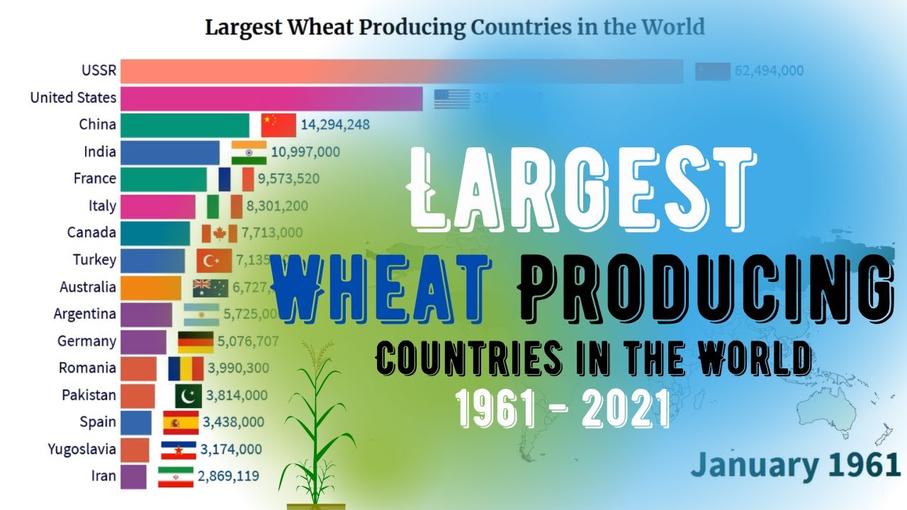 Largest Wheat Producing Countries In The World 1961 - 2021 | Top Wheat ...