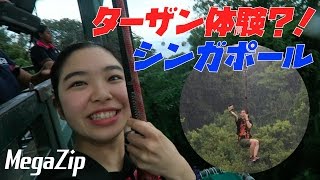 MegaZipでターザン体験！【シンガポール観光】