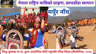 सिद्ध कुमाख गाउँपालिका वडा नं ५ को खत्रा मयुर नाँचः Peacock Dance|| पुराना कला संस्कृतिको प्रवर्द्धन