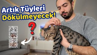 Kedi Tüyü Dökülmesi Nasıl Engellenir? (Oprobiotic Kedi Tüy Dökülmesi Azaltıcı Damla İncelemesi)