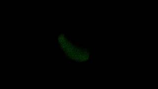 CUDA/D3D9 Boid Separation Test