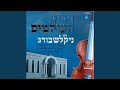 Vetuheir Medley (feat. Simcha Klagsbrun)